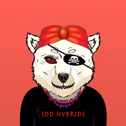 SDD Hybrid 217