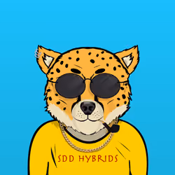 SDD Hybrid 258