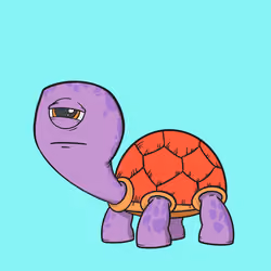CycloTurtle #916