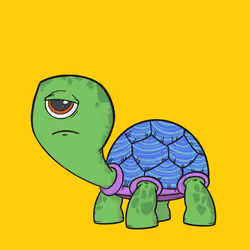 CycloTurtle #996