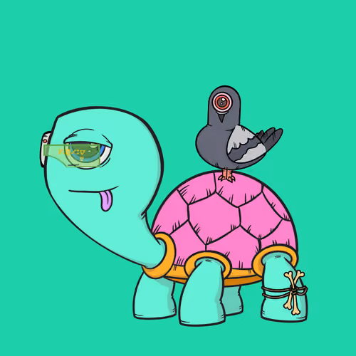 CycloTurtle #211
