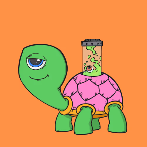 CycloTurtle #1051