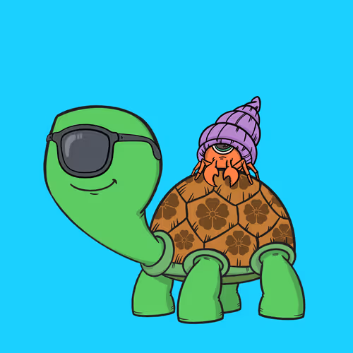 Cycloturtles