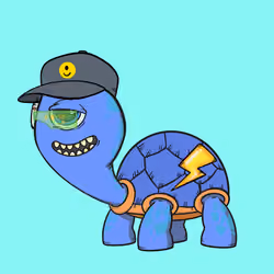 CycloTurtle #19