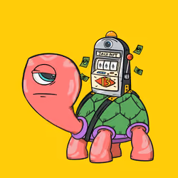 CycloTurtle #1748