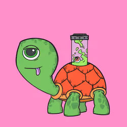 CycloTurtle #847