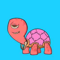 CycloTurtle #912