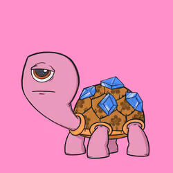 CycloTurtle #1205