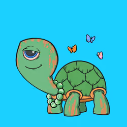 CycloTurtle #17