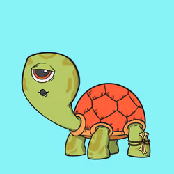 CycloTurtle #1104