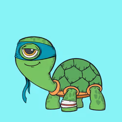 CycloTurtle #1097