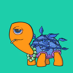 CycloTurtle #31