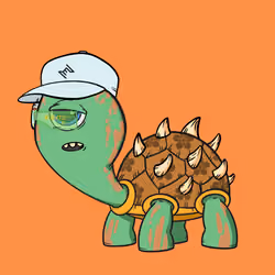 CycloTurtle #1083