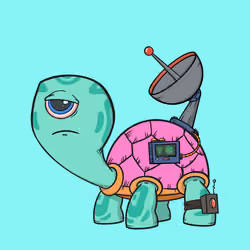 CycloTurtle #1992