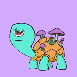 CycloTurtle #1009