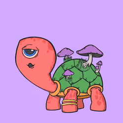 CycloTurtle #584