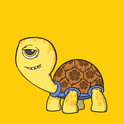 CycloTurtle #1204