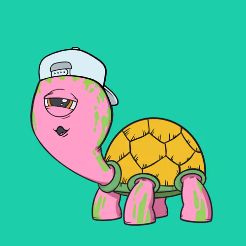CycloTurtle #1932