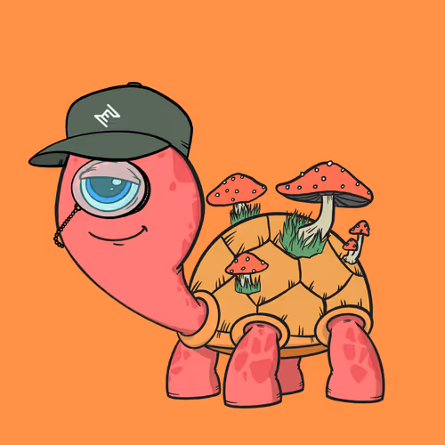 CycloTurtle #1823