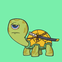 CycloTurtle #919