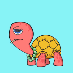 CycloTurtle #848