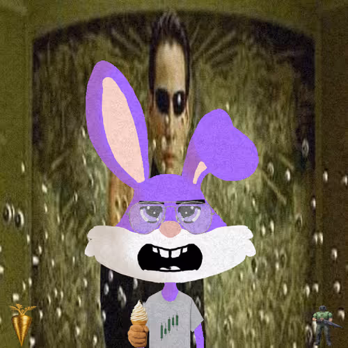 Looney Bunnys