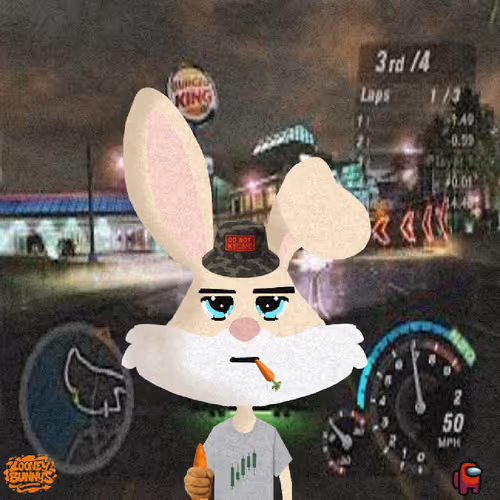Looney Bunnys
