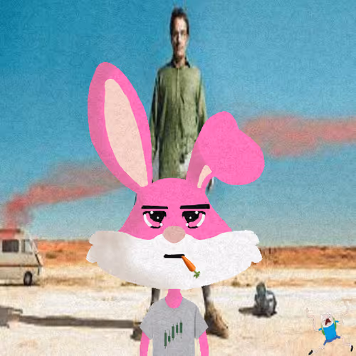 Looney Bunnys