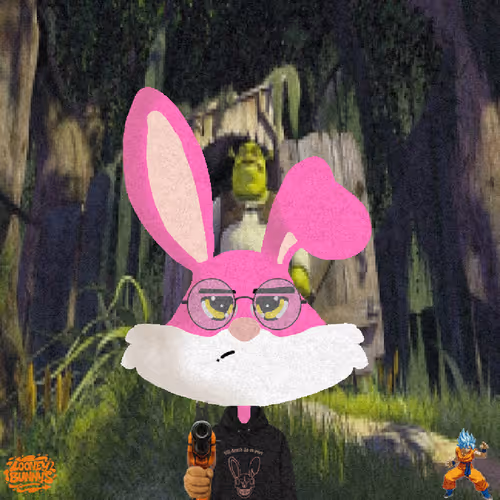 Looney Bunnys