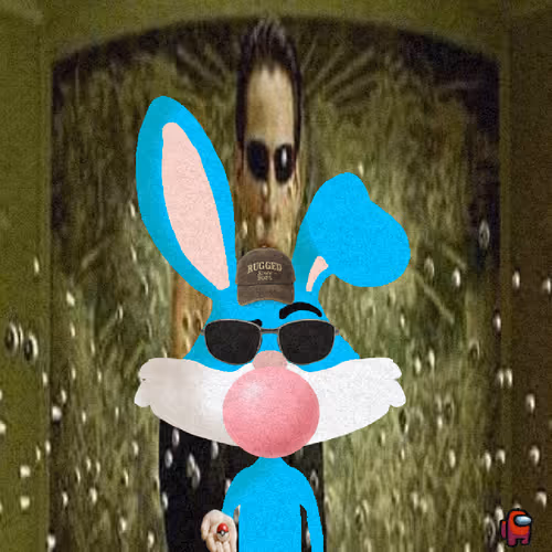 Looney Bunnys