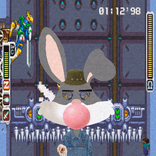 Looney Bunnys
