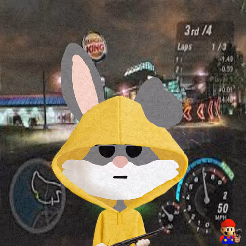 Looney Bunnys
