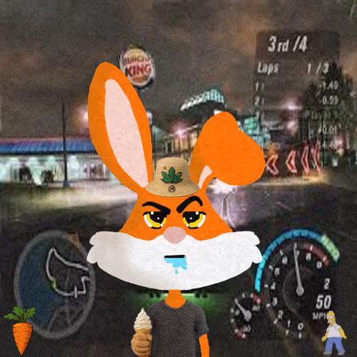 Looney Bunnys