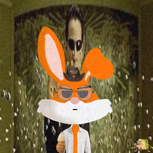 Looney Bunnys