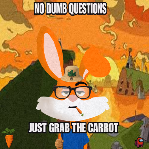 Looney Bunnys