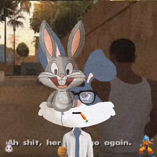 Looney Bunnys