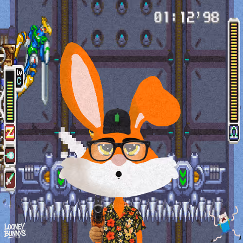 Looney Bunnys