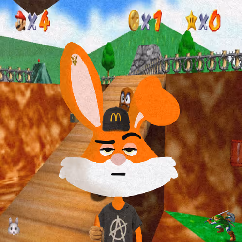 Looney Bunnys