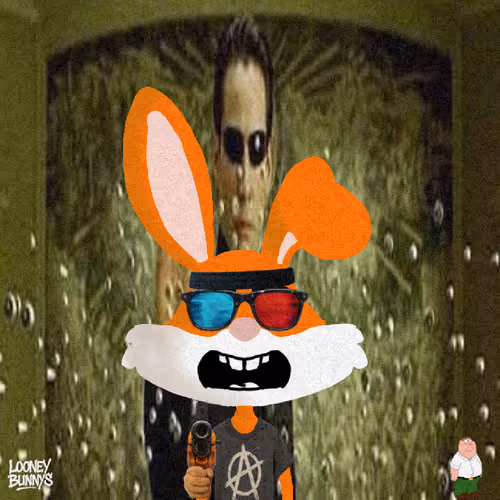 Looney Bunnys