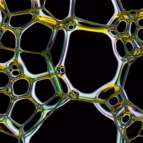 Nexus By Bruno Militelli