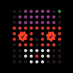 244