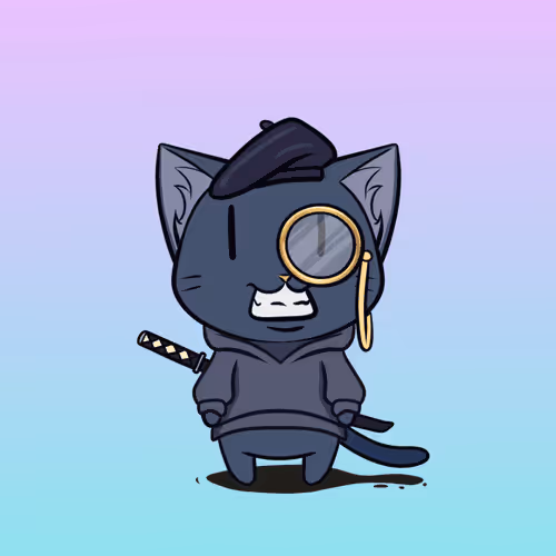 Adventure Cats Discovery Club