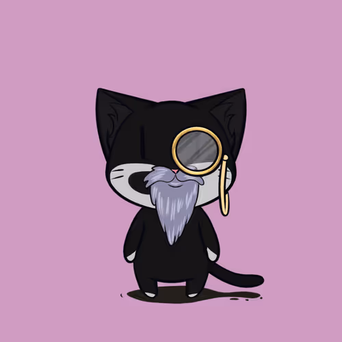 Adventure Cats Discovery Club
