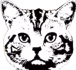 Eulerbeats REMIX by Bully Meow & IamJudasJudas