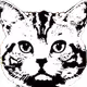 Eulerbeats REMIX by Bully Meow & IamJudasJudas