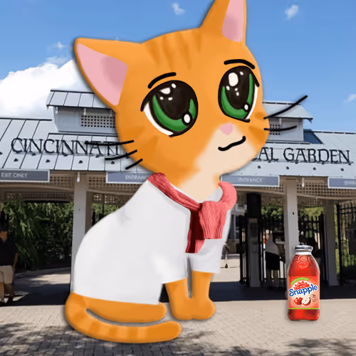 Meowlady Maker 2