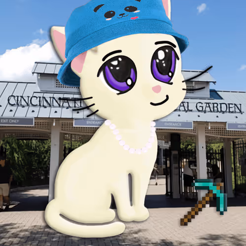 Meowlady Maker 2