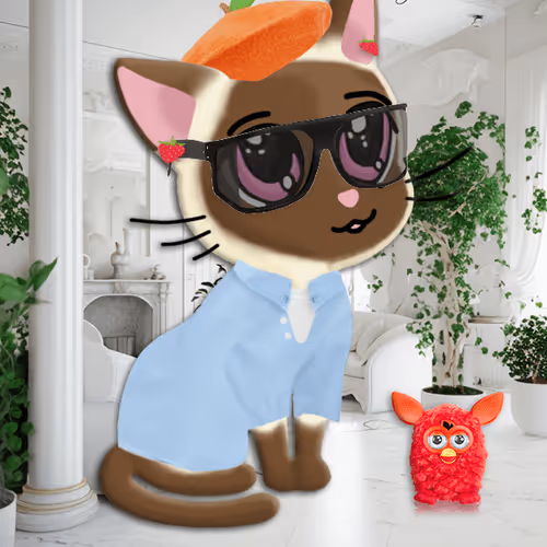 Meowlady Maker 2