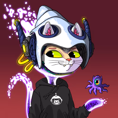 Marsaliencats
