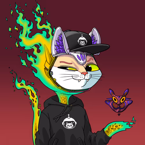 Marsaliencats